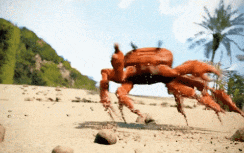853902497_crab-rave-min(1).png.924106fa731ebab940f09ce022c74ee1.png