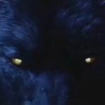 LONEWOLF_._.