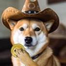 CT Doge