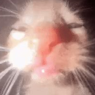 semen