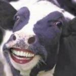 LelleDaBoi99
