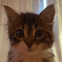skeptical